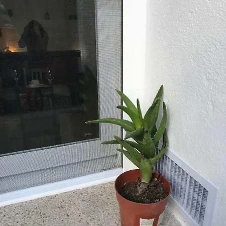 Loft Arco Del Cristo.