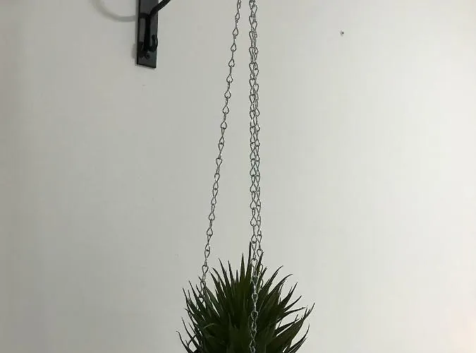 Loft Arco Del Cristo. Апартаменты