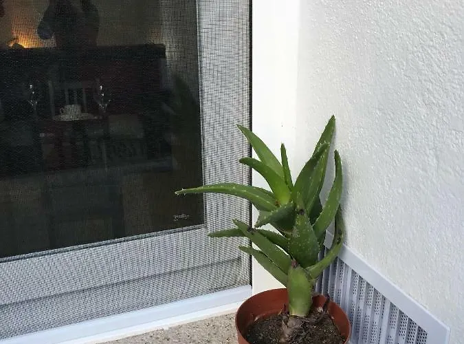 Loft Arco Del Cristo.